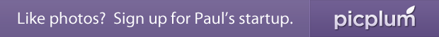 Picplum Banner