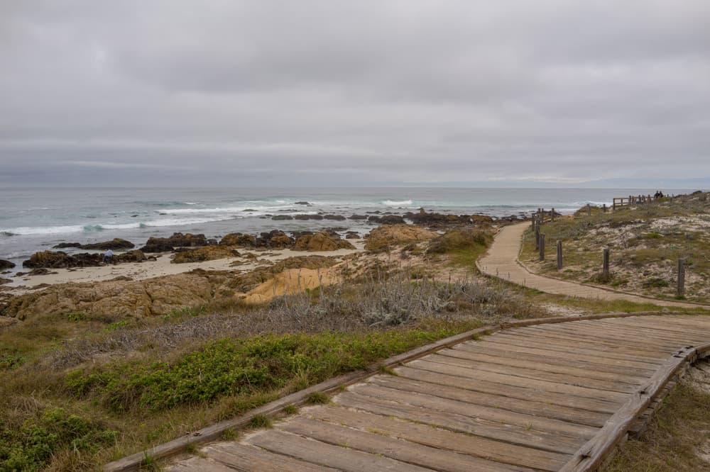 Carmel & Monterey photo DSC08142