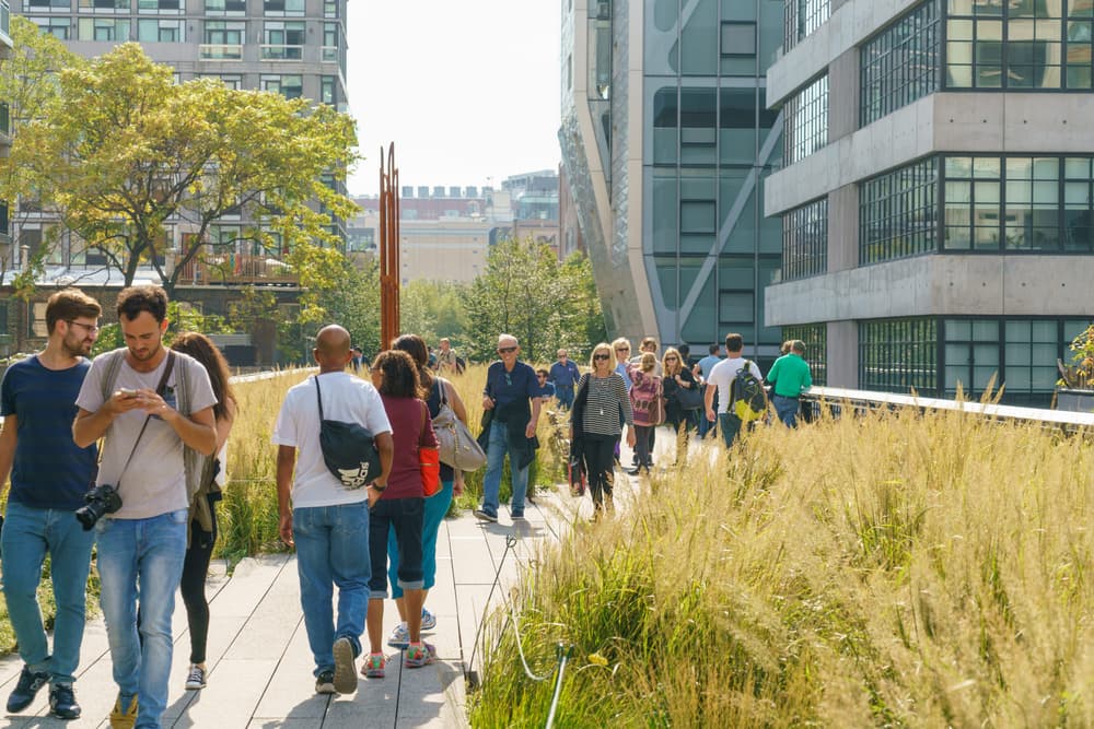 The High Line photo DSC04355