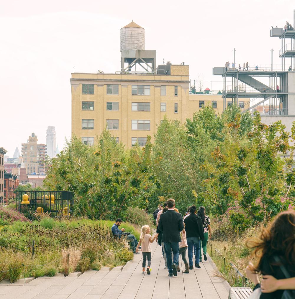 The High Line photo DSC04521