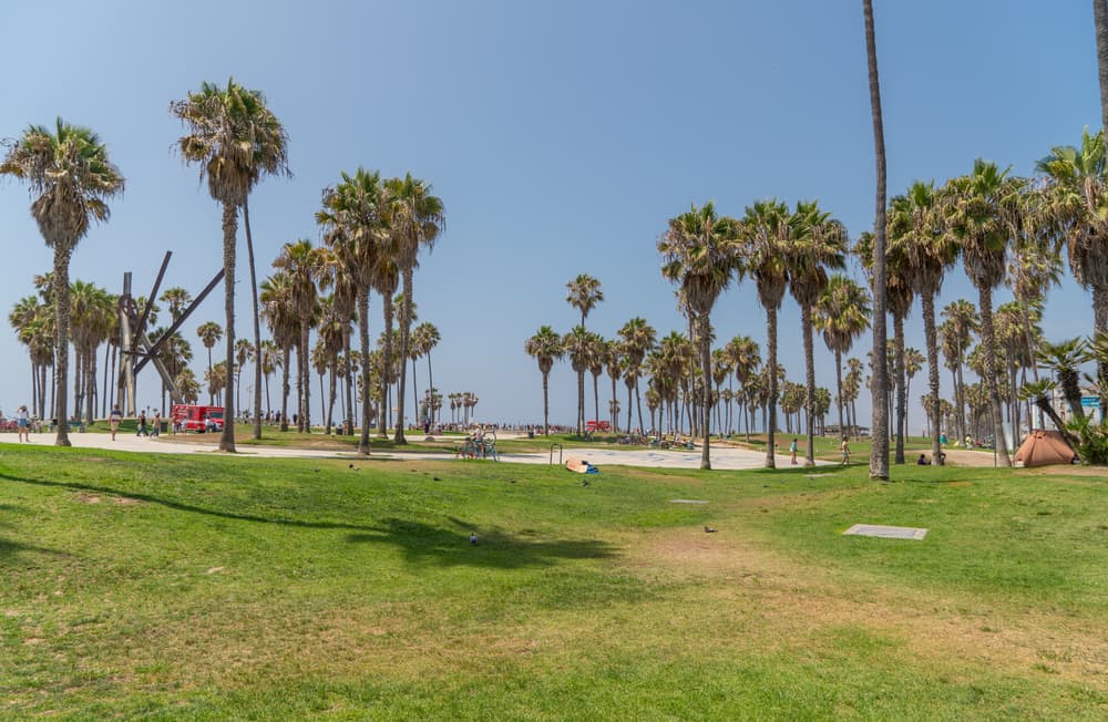 Venice Beach photo DSC03703