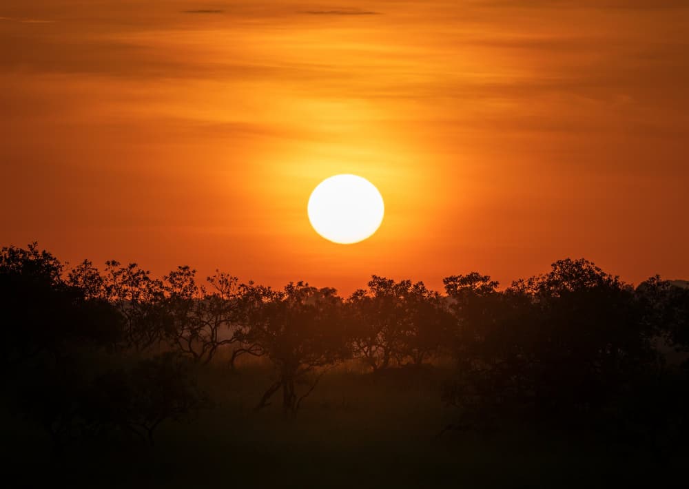 Northern Serengeti photo 37