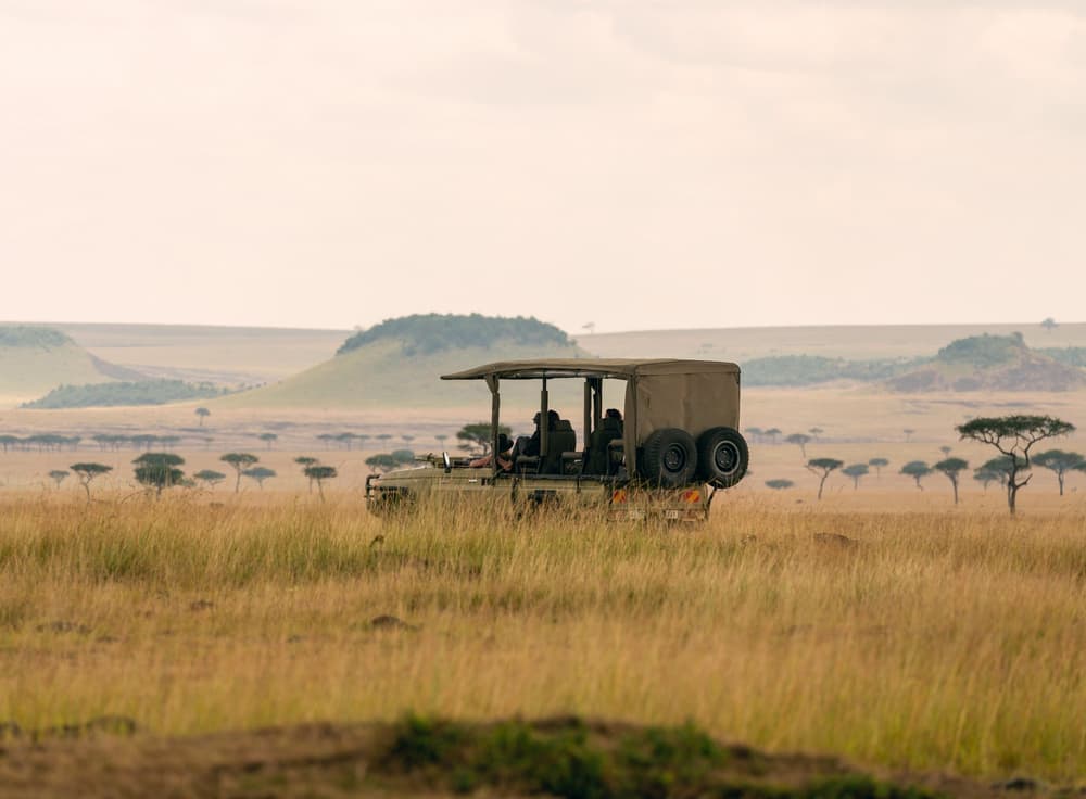 Northern Serengeti photo 25