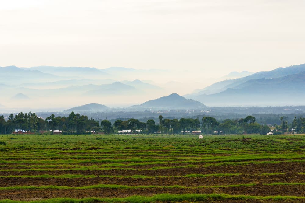 Rwanda photo 1