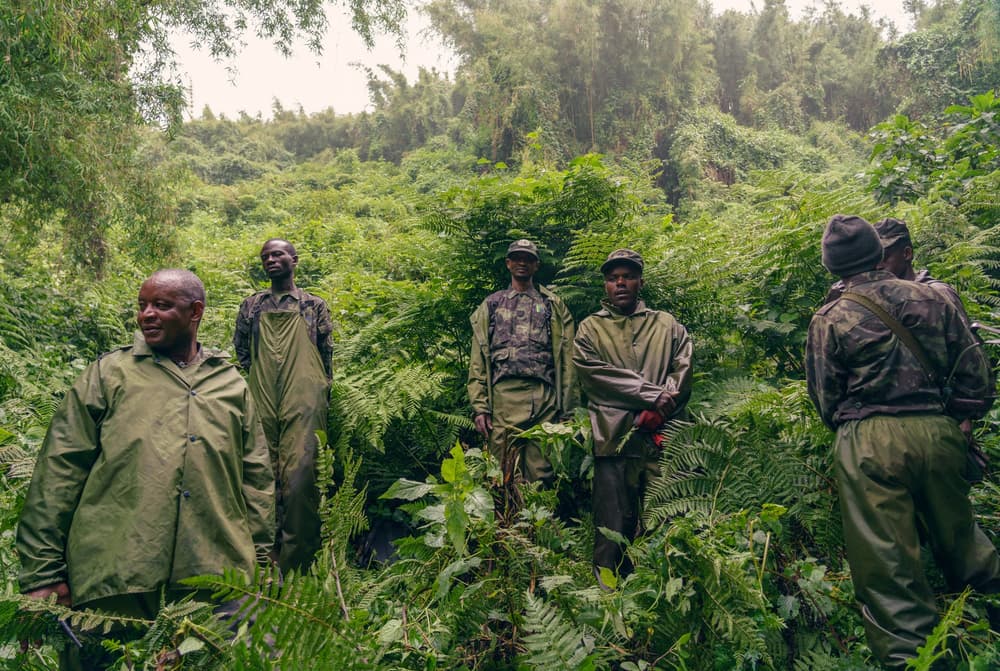 Rwanda photo 1