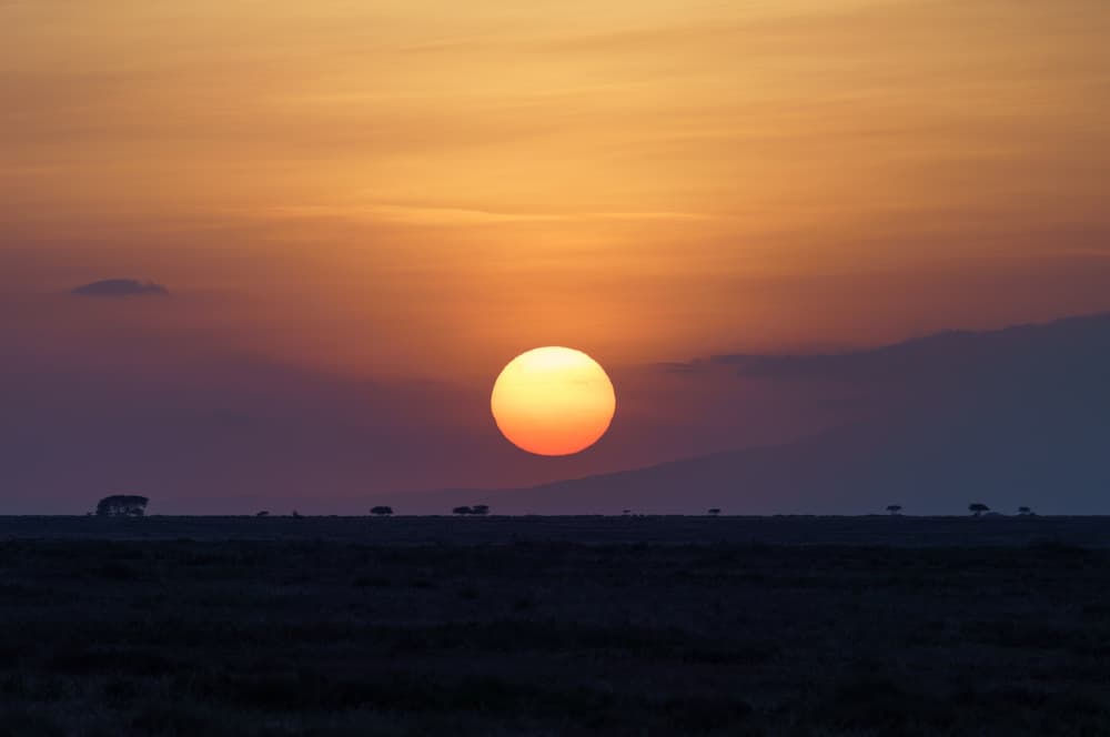 Southern Serengeti photo 82