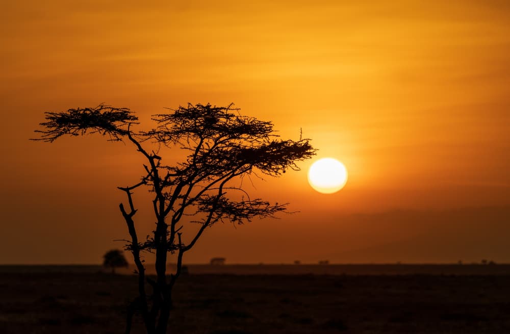 Southern Serengeti photo 84