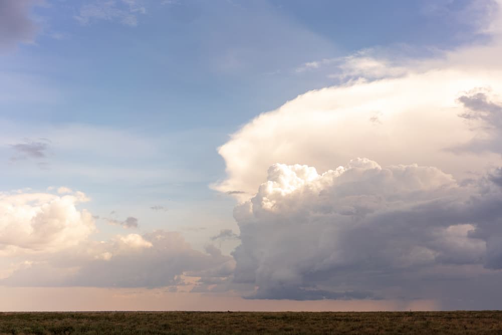Southern Serengeti photo 2