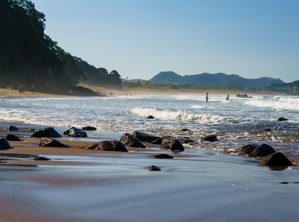 Coromandel Peninsula photo copyright-paulstamatiou_com-DSC08460