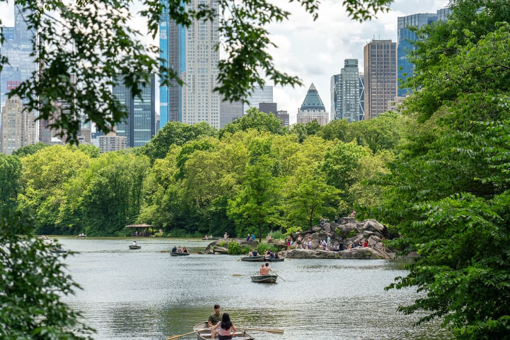 Central Park