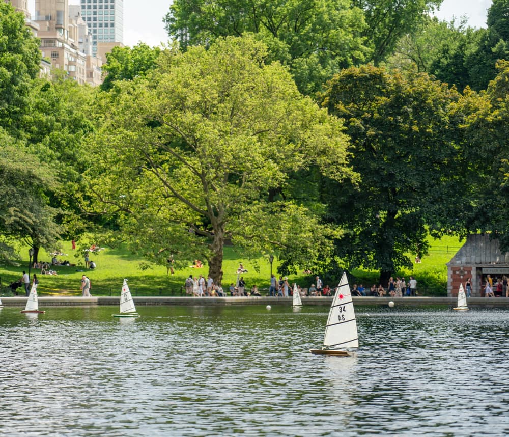 Central Park