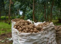 Rwanda photo 2