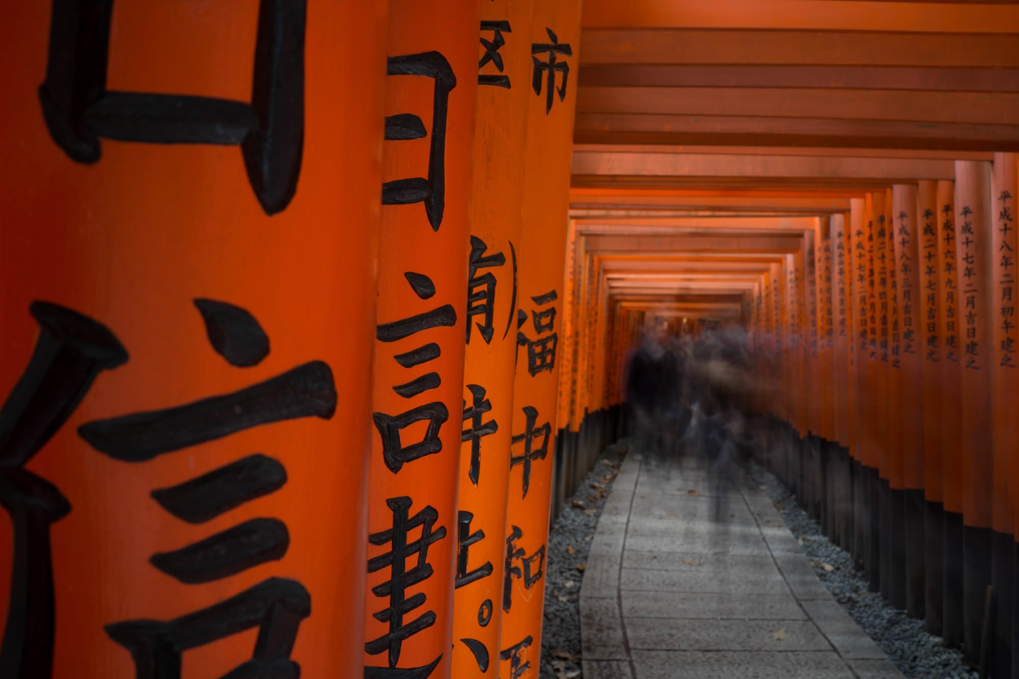 Arashiyama bamboo forest, Fushimi Inari-taisha and Kiyomizu-dera