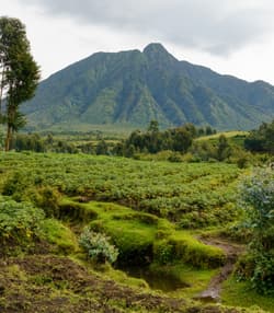 Rwanda photo 1