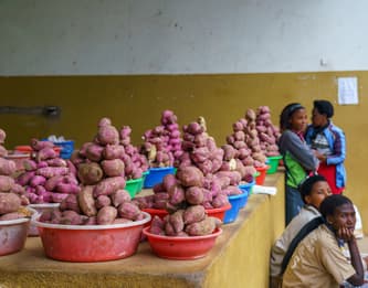 Rwanda photo 6