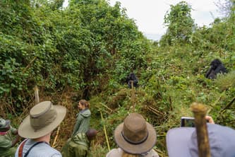 Rwanda photo 3