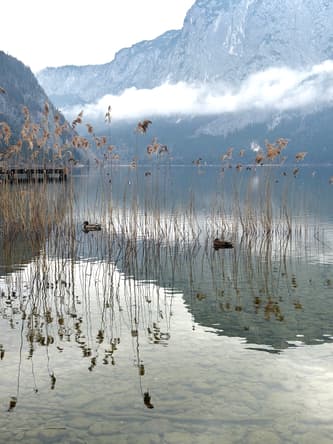 Austria