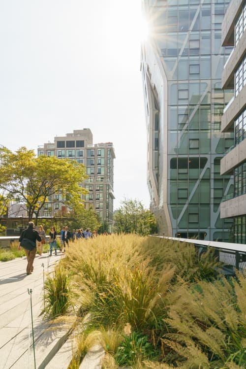 The High Line photo DSC04372