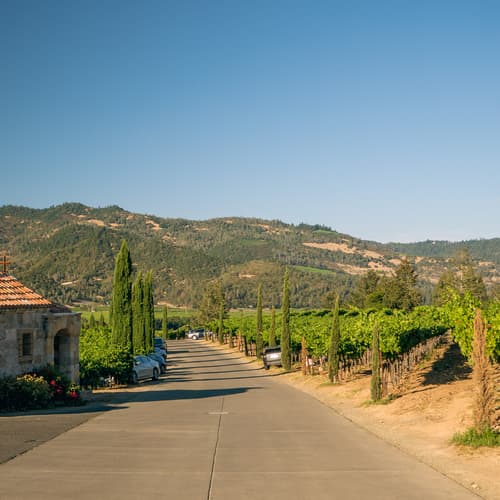 Napa Valley photo DSC02861