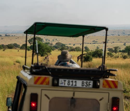 Northern Serengeti photo 39