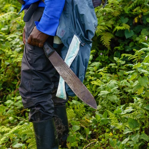 Rwanda photo 6