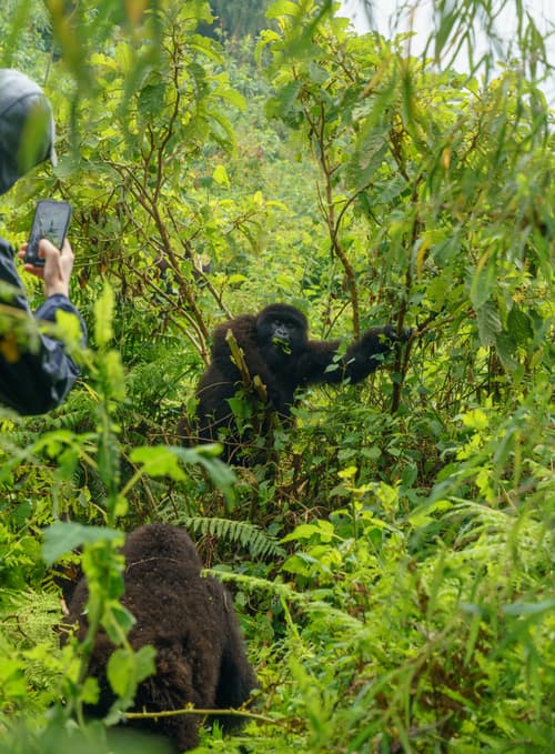Rwanda photo 2