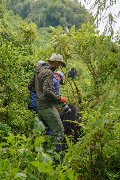 Rwanda photo 3