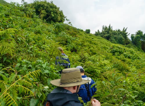 Rwanda photo 2