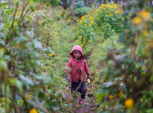 Rwanda photo 7