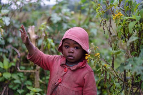 Rwanda photo 8