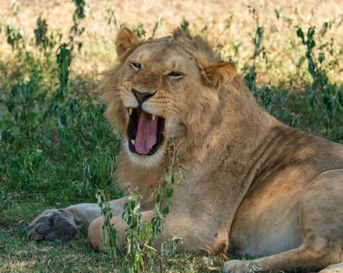 Southern Serengeti photo 22