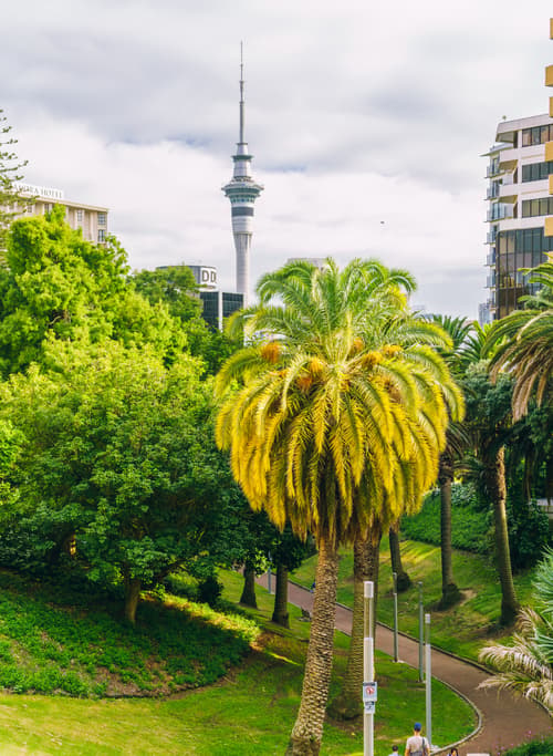 Auckland photo copyright-paulstamatiou_com-DSC07541