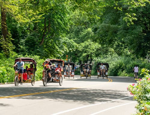 Central Park