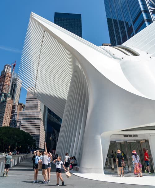 The Oculus
