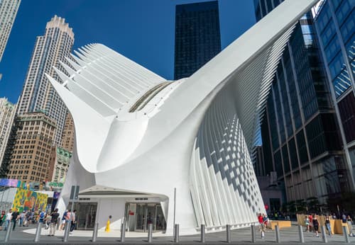 The Oculus