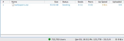 Seeding Your Torrent