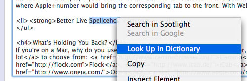 WebKit Spellcheck