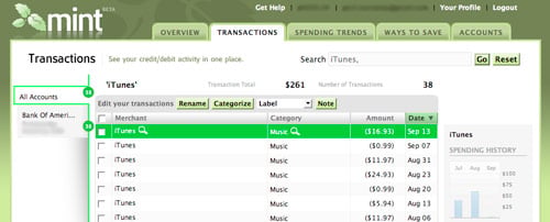 Mint Transactions