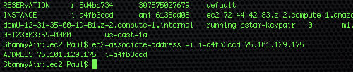 Amazon EC2 Associate IP Address