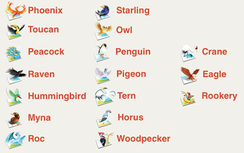 Aviary Application Suite