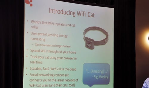 Wifi Cat pitch at startup riot 2009