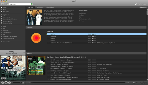 Spotify Artist View