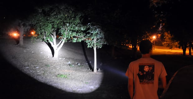 Legion II lighting up some trees