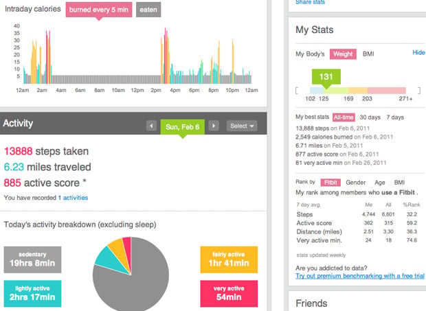 Fitbit Logging Interface