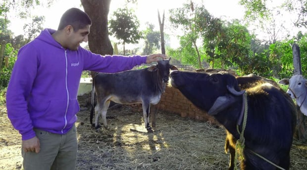 Akshay Dodeja telling animals about Picplum
