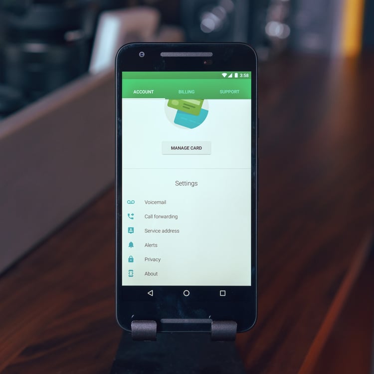 Google Project Fi app interface