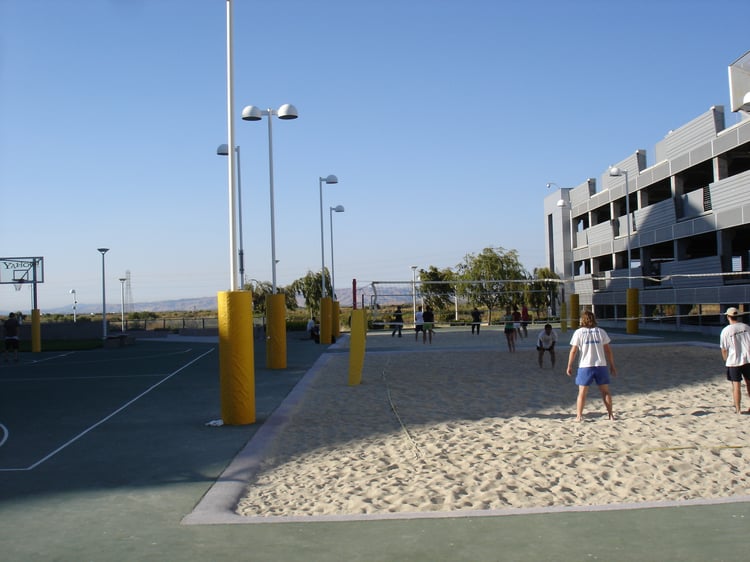 Y! vball
