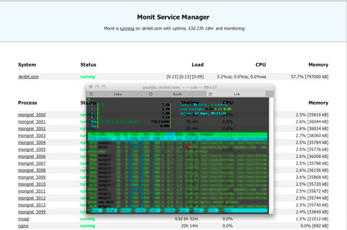 Skribit Dev: Monitoring with Monit and htop