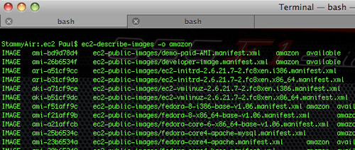 Amazon EC2 AMIs