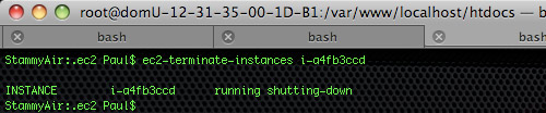 Terminate EC2 Instance